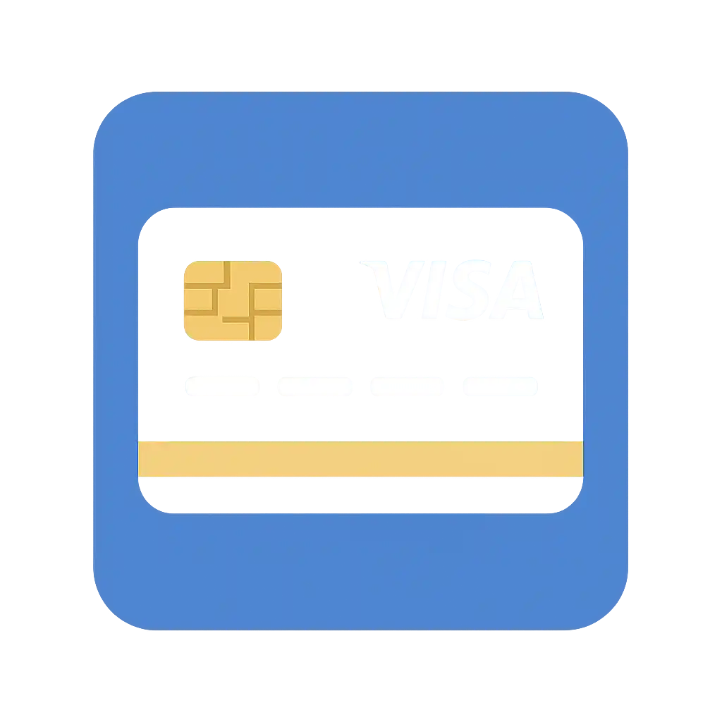 Visa payment icon